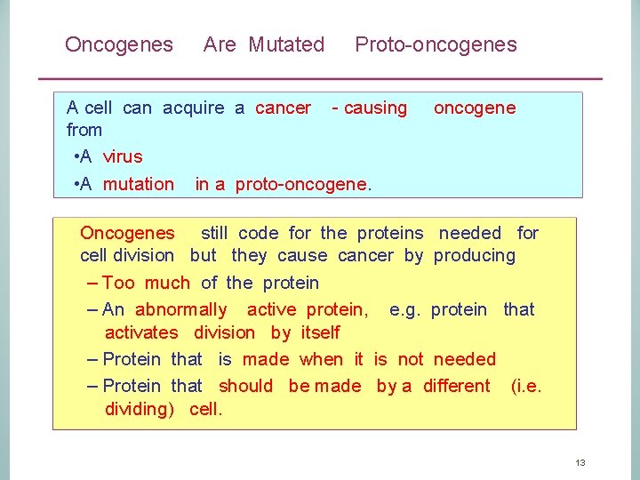 Oncogenes Are Mutated Proto-oncogenes A cell can acquire a cancer - causing oncogene from