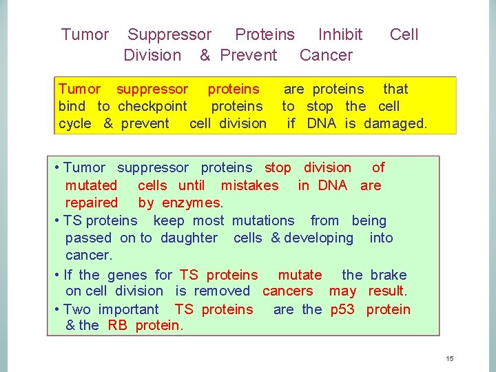 Tumor Suppressor Proteins Inhibit Cell Division & Prevent Cancer Tumor suppressor proteins are proteins