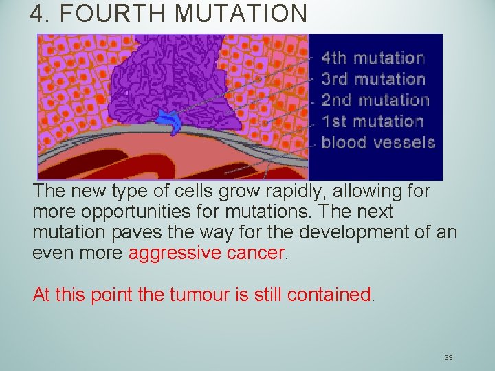 4. FOURTH MUTATION The new type of cells grow rapidly, allowing for more opportunities