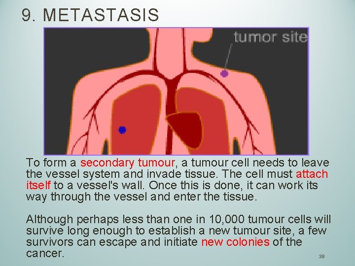 9. METASTASIS To form a secondary tumour, a tumour cell needs to leave the