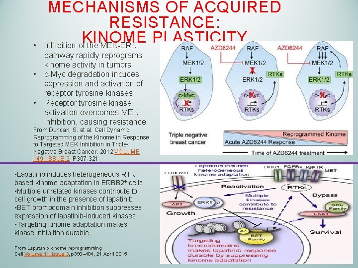  • • • MECHANISMS OF ACQUIRED RESISTANCE: KINOME PLASTICITY Inhibition of the MEK-ERK
