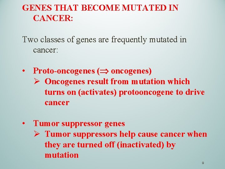 GENES THAT BECOME MUTATED IN CANCER: Two classes of genes are frequently mutated in