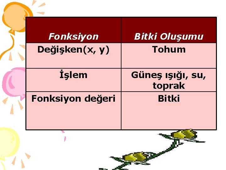 Fonksiyon Değişken(x, y) Bitki Oluşumu Tohum İşlem Güneş ışığı, su, toprak Bitki Fonksiyon değeri