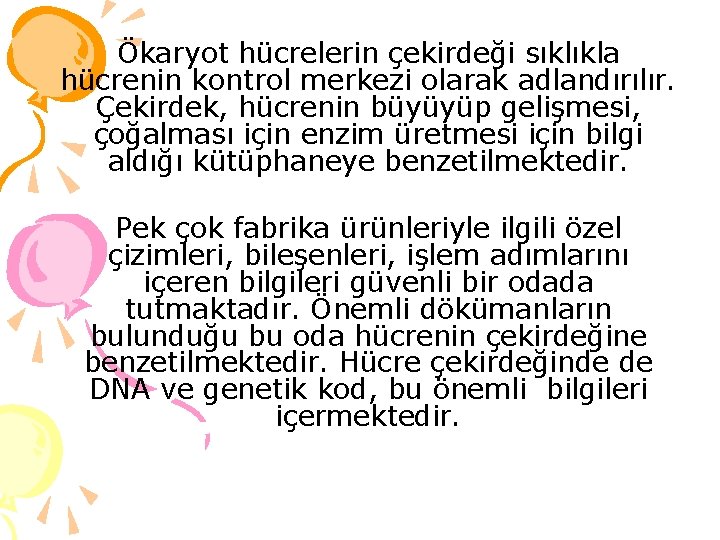 Ökaryot hücrelerin çekirdeği sıklıkla hücrenin kontrol merkezi olarak adlandırılır. Çekirdek, hücrenin büyüyüp gelişmesi, çoğalması