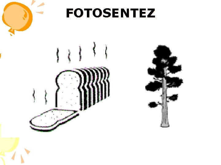 FOTOSENTEZ 