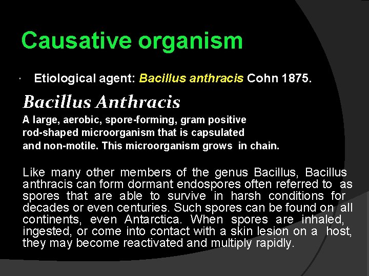 Causative organism Etiological agent: Bacillus anthracis Cohn 1875. Bacillus Anthracis A large, aerobic, spore-forming,