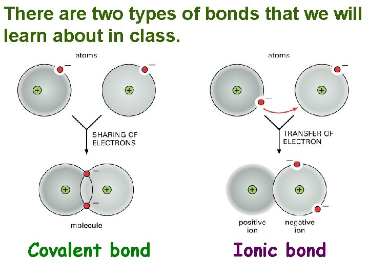 There are two types of bonds that we will learn about in class. Covalent