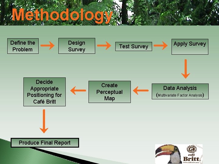 Methodology Define the Problem Design Survey Decide Appropriate Positioning for Café Britt Produce Final