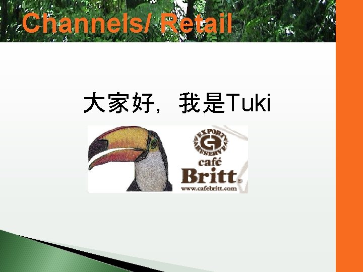 Channels/ Retail 大家好， 我是Tuki 