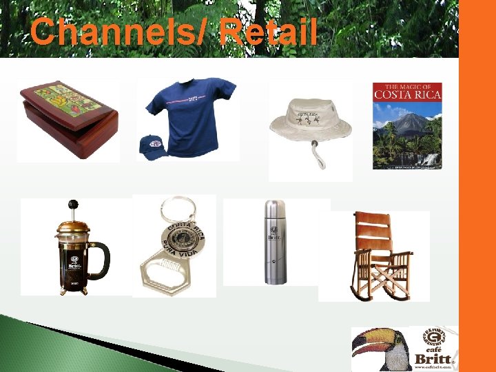 Channels/ Retail 