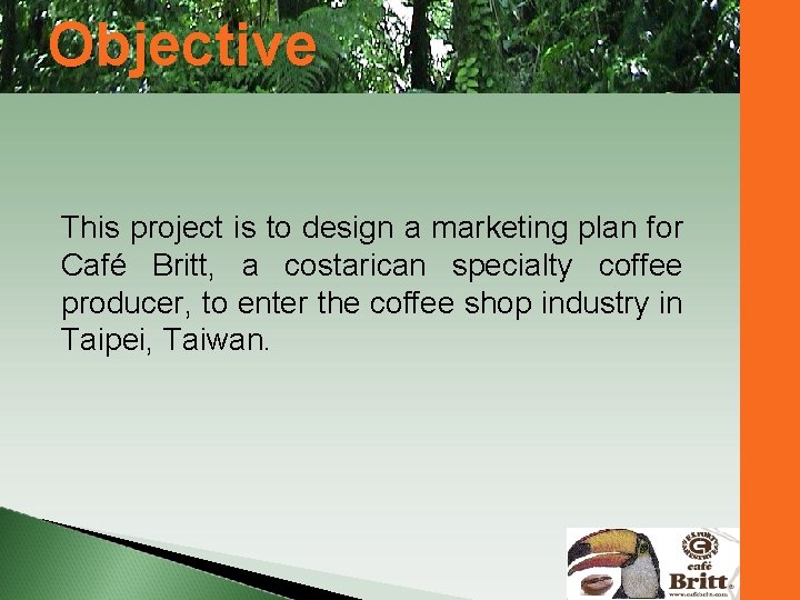 Objective This project is to design a marketing plan for Café Britt, a costarican