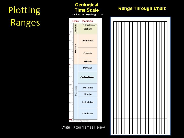Plotting Ranges Geological Time Scale (modified from geology. com) Carboniferous Write Taxon Names Here