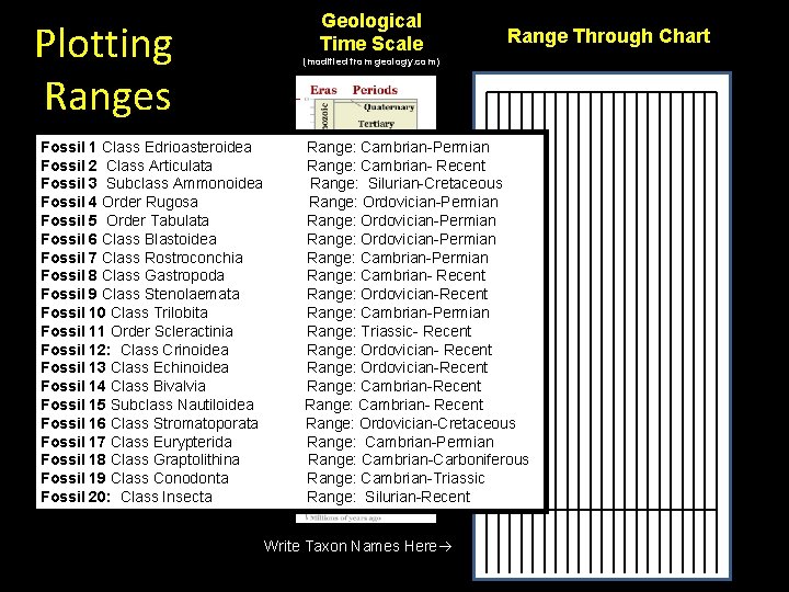 Plotting Ranges Fossil 1 Class Edrioasteroidea Fossil 2 Class Articulata Fossil 3 Subclass Ammonoidea