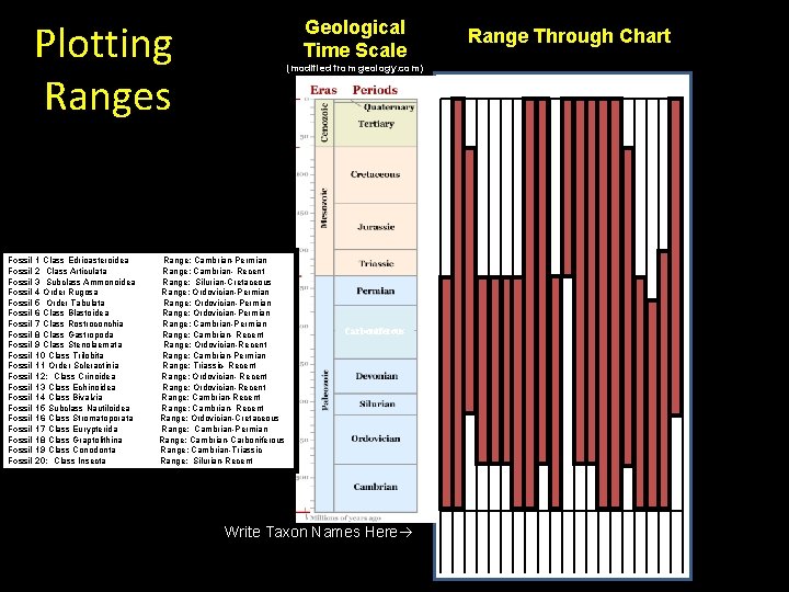 Plotting Ranges Fossil 1 Class Edrioasteroidea Fossil 2 Class Articulata Fossil 3 Subclass Ammonoidea
