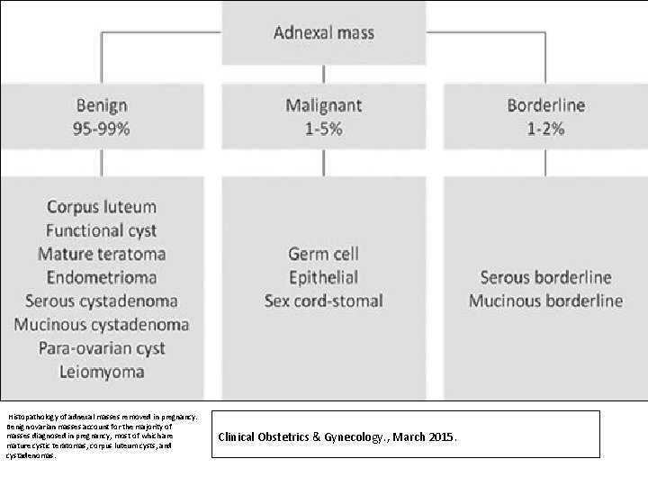  Histopathology of adnexal masses removed in pregnancy. Benign ovarian masses account for the