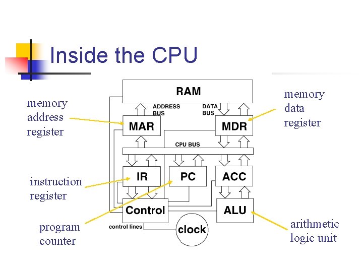Inside the CPU memory address register memory data register instruction register program counter arithmetic