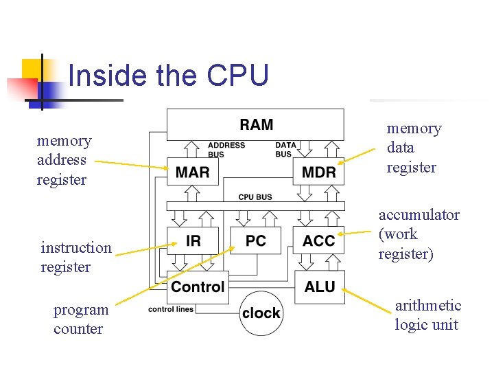 Inside the CPU memory address register instruction register program counter memory data register accumulator