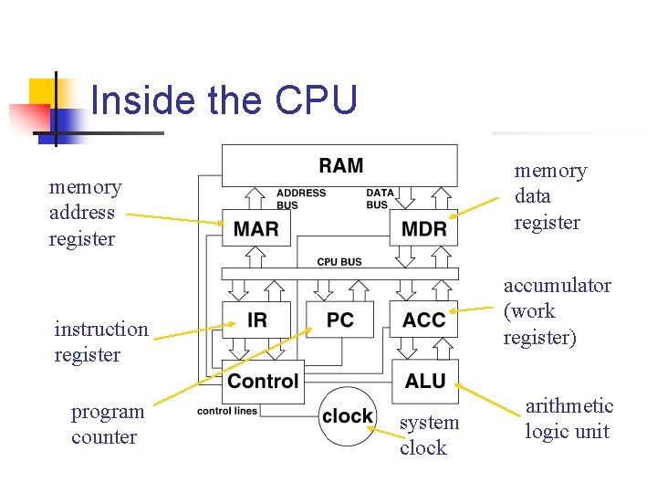 Inside the CPU memory data register memory address register accumulator (work register) instruction register