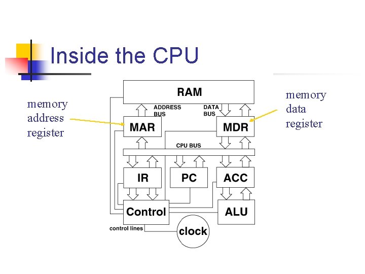 Inside the CPU memory address register memory data register 