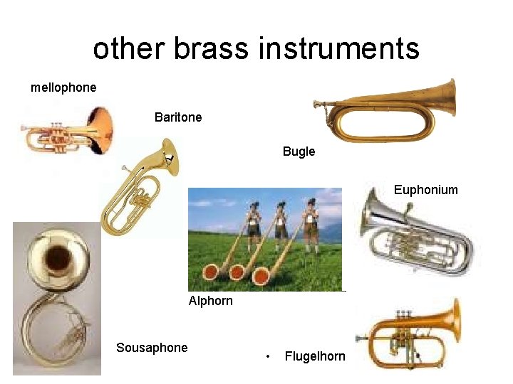 other brass instruments mellophone Baritone Bugle Euphonium Alphorn Sousaphone • Flugelhorn 