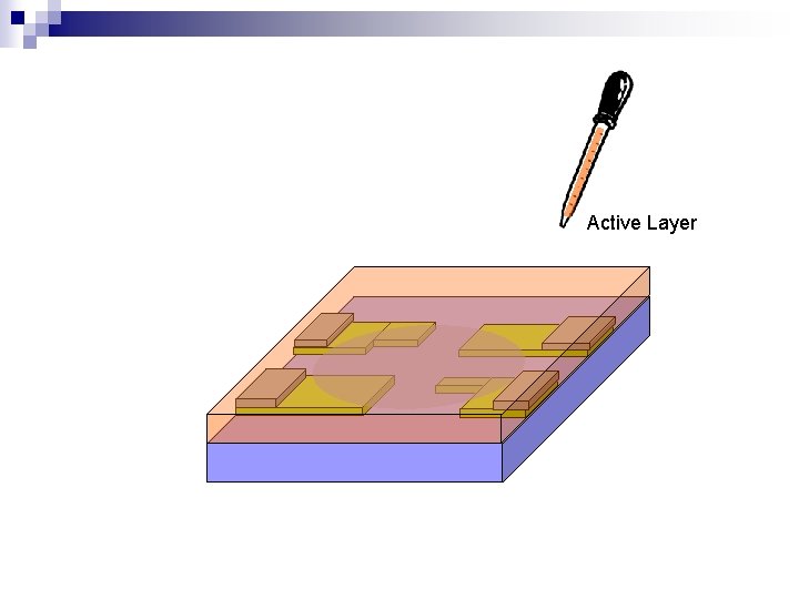 Active Layer 
