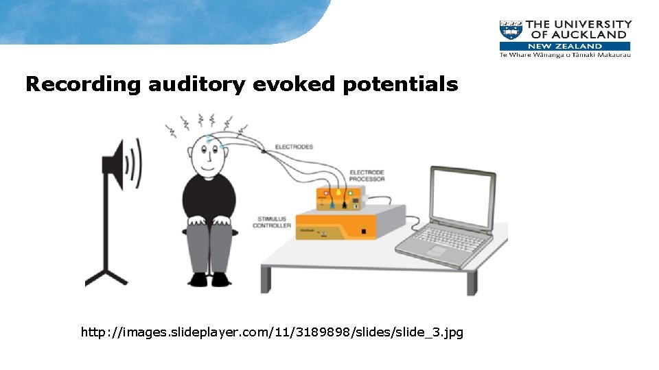 Recording auditory evoked potentials http: //images. slideplayer. com/11/3189898/slides/slide_3. jpg 