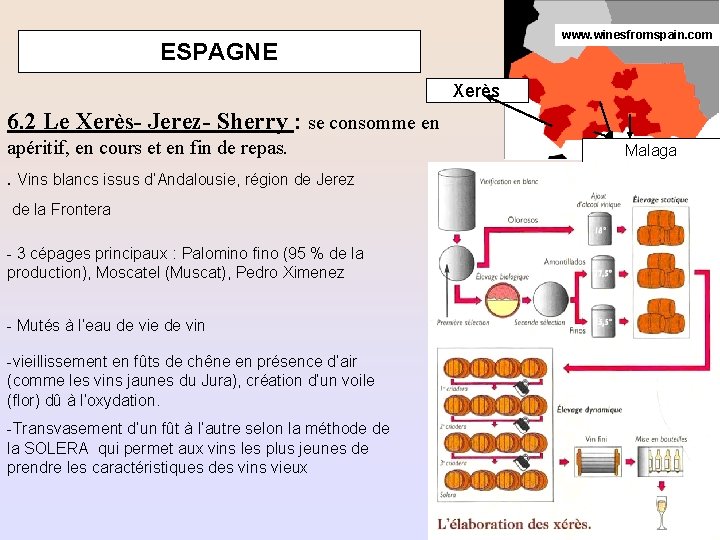 www. winesfromspain. com ESPAGNE Xerès 6. 2 Le Xerès- Jerez- Sherry : se consomme