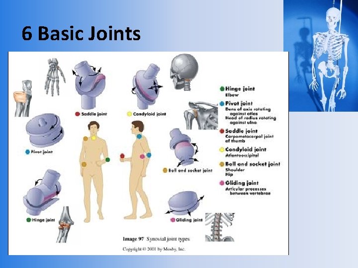 6 Basic Joints 