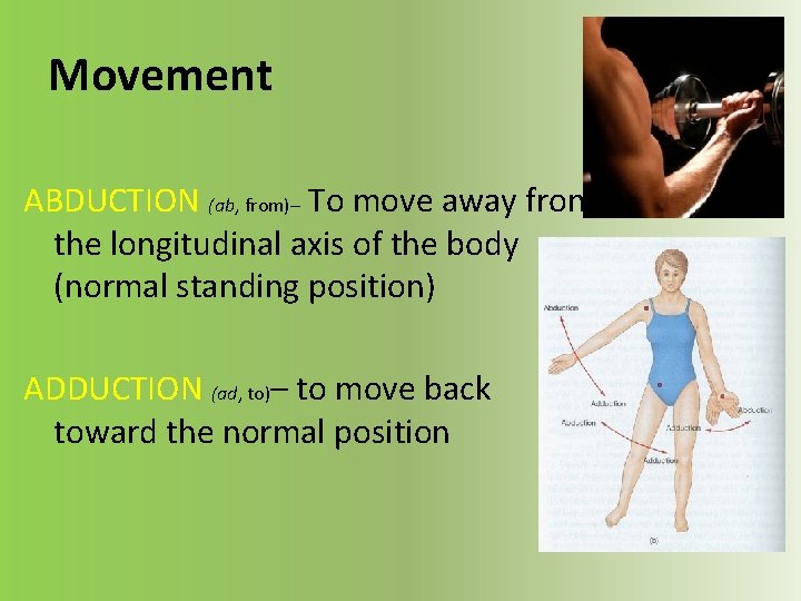 Movement ABDUCTION (ab, from)– To move away from the longitudinal axis of the body