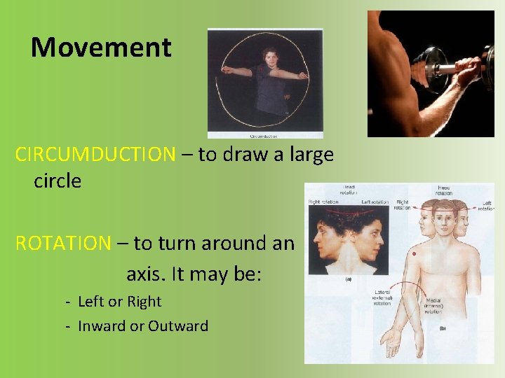 Movement CIRCUMDUCTION – to draw a large circle ROTATION – to turn around an