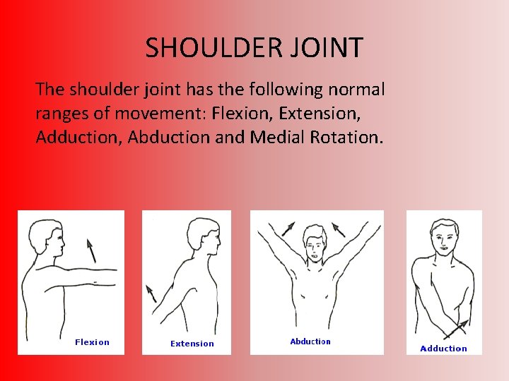 SHOULDER JOINT The shoulder joint has the following normal ranges of movement: Flexion, Extension,