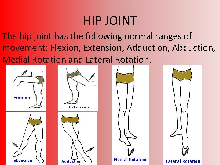 HIP JOINT The hip joint has the following normal ranges of movement: Flexion, Extension,