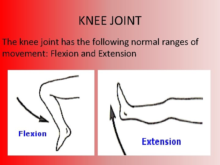 KNEE JOINT The knee joint has the following normal ranges of movement: Flexion and