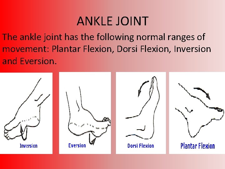 Bones Muscles Joints And Movement Anatomical Position Helps