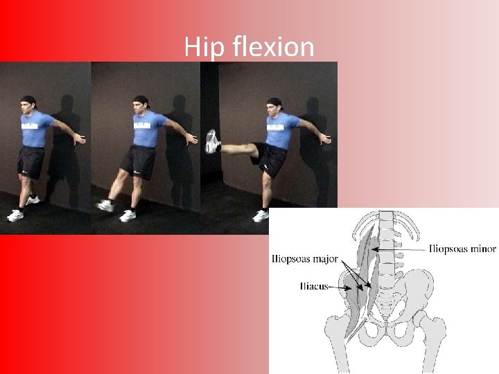 Hip flexion 