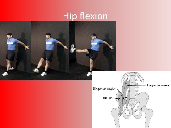 Hip flexion 