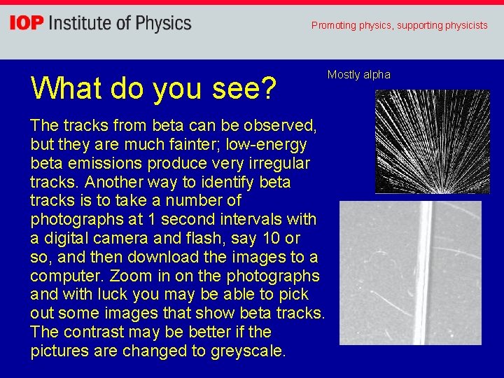 Promoting physics, supporting physicists What do you see? The tracks from beta can be
