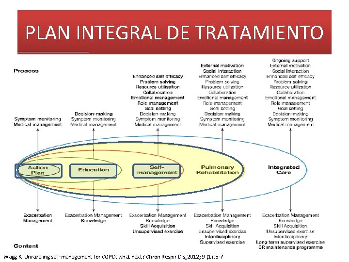 PLAN INTEGRAL DE TRATAMIENTO Wagg K. Unraveling self-management for COPD: what next? Chron Respir