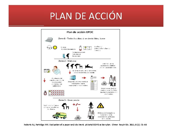 PLAN DE ACCIÓN Roberts NJ, Partridge MR. Evaluation of a paper and electronic pictorial