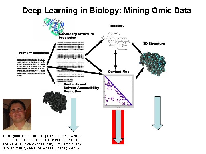 Deep Learning in Biology: Mining Omic Data C. Magnan and P. Baldi. Sspro/ACCpro 5.