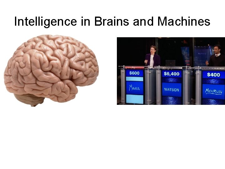 Intelligence in Brains and Machines 