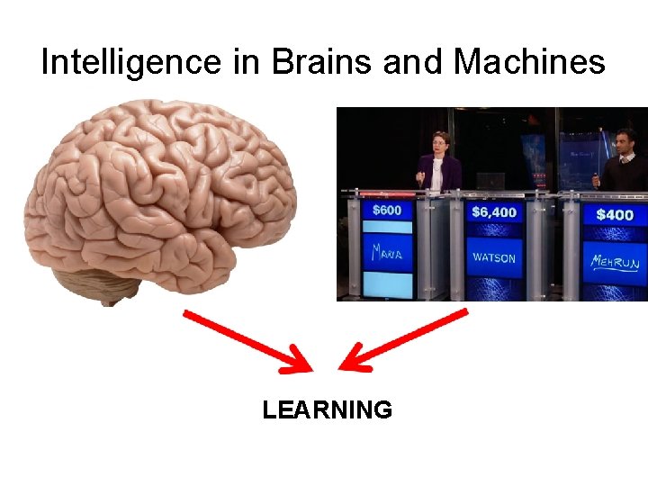 Intelligence in Brains and Machines LEARNING 
