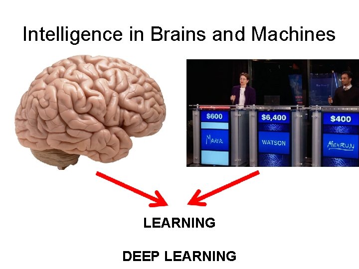 Intelligence in Brains and Machines LEARNING DEEP LEARNING 