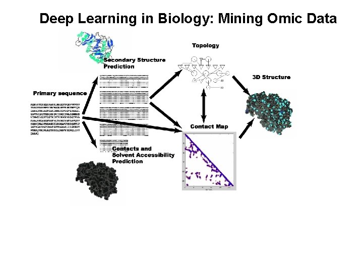 Deep Learning in Biology: Mining Omic Data 