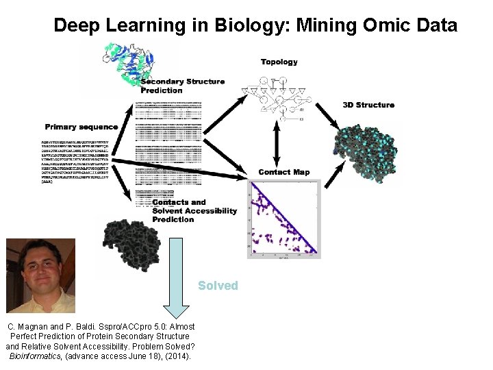 Deep Learning in Biology: Mining Omic Data Solved C. Magnan and P. Baldi. Sspro/ACCpro