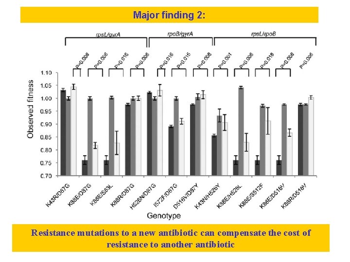 Major finding 2: Resistance mutations to a new antibiotic can compensate the cost of