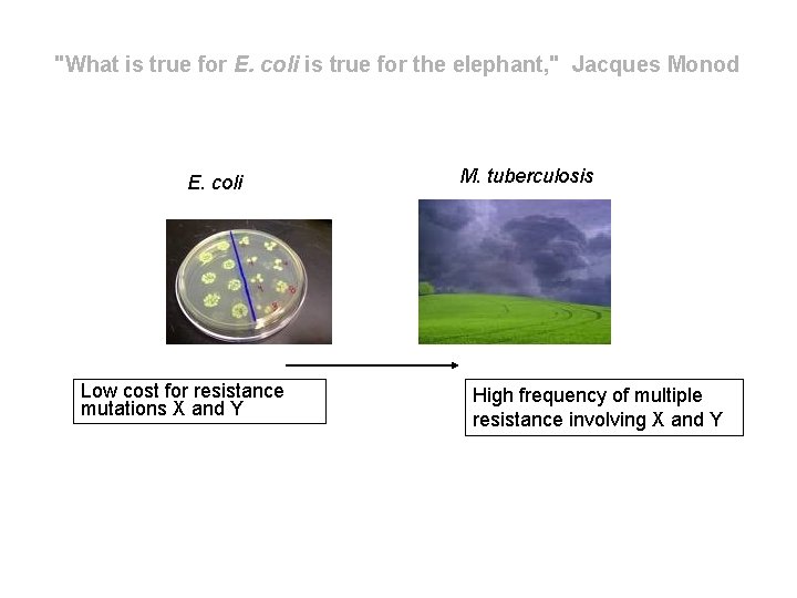 "What is true for E. coli is true for the elephant, " Jacques Monod