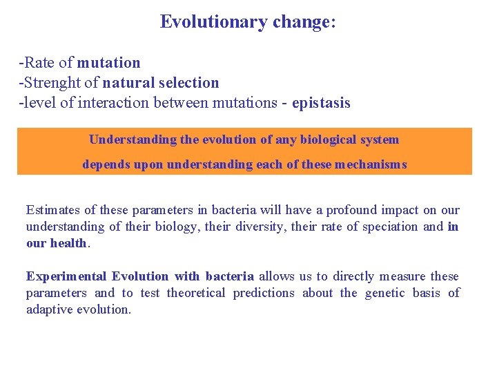 Evolutionary change: -Rate of mutation -Strenght of natural selection -level of interaction between mutations