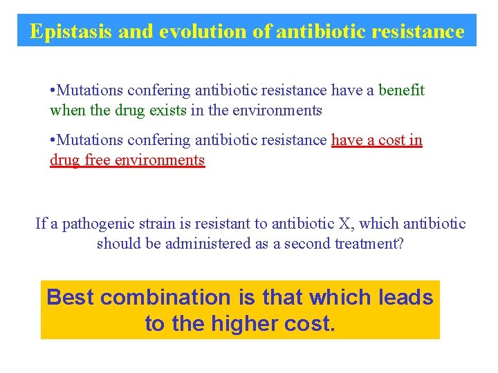 Epistasis and evolution of antibiotic resistance • Mutations confering antibiotic resistance have a benefit