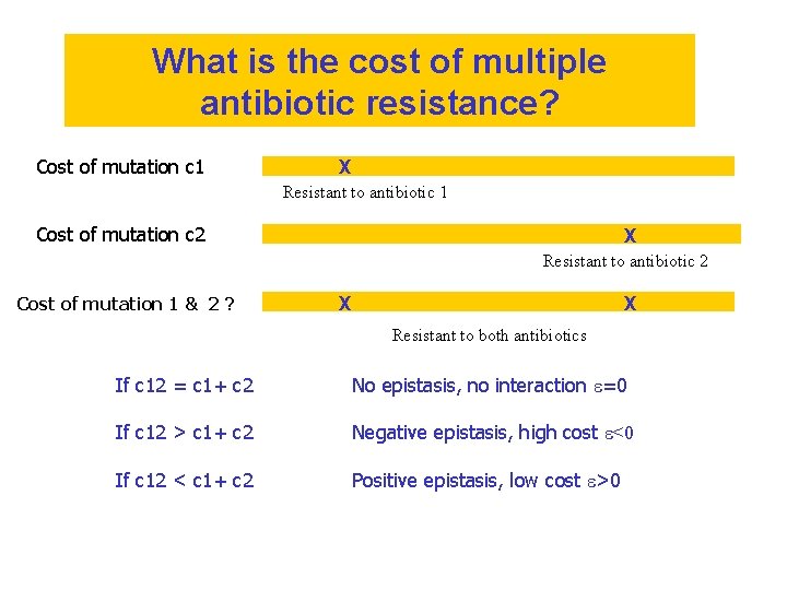 What is the cost of multiple antibiotic resistance? Cost of mutation c 1 X What is the cost of multiple antibiotic resistance? Cost of mutation c 1 X